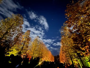 NAKED 紅葉の新宿御苑2023に投稿された画像（2023/12/1）