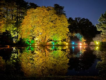 NAKED 紅葉の新宿御苑2023に投稿された画像（2023/12/1）