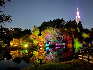 NAKED 紅葉の新宿御苑2023に投稿された画像（2023/12/1）