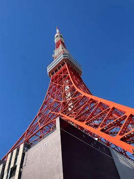 東京タワーに投稿された画像（2023/12/1）