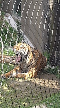 名古屋市東山動植物園に投稿された画像（2023/12/1）