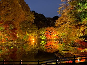 NAKED 紅葉の新宿御苑2023に投稿された画像（2023/12/1）