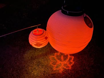 NAKED 紅葉の新宿御苑2023に投稿された画像（2023/12/1）