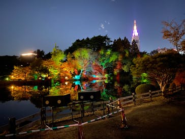 NAKED 紅葉の新宿御苑2023に投稿された画像（2023/12/1）