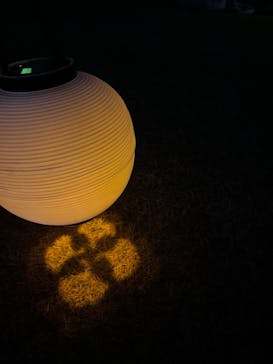 NAKED 紅葉の新宿御苑2023に投稿された画像（2023/12/1）