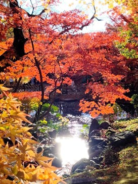 京阪電車に投稿された画像（2023/12/1）
