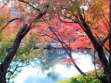 京阪電車に投稿された画像（2023/12/1）