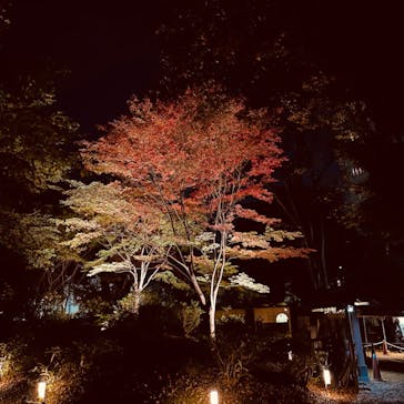 六義園に投稿された画像（2023/12/1）