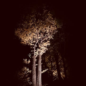 六義園に投稿された画像（2023/12/1）