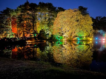 NAKED 紅葉の新宿御苑2023に投稿された画像（2023/12/1）