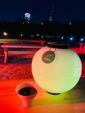 NAKED 紅葉の新宿御苑2023に投稿された画像（2023/12/1）