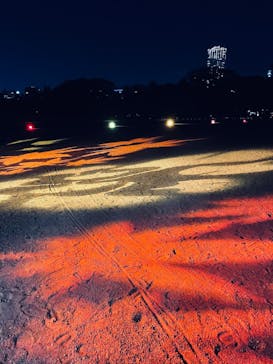 NAKED 紅葉の新宿御苑2023に投稿された画像（2023/12/1）