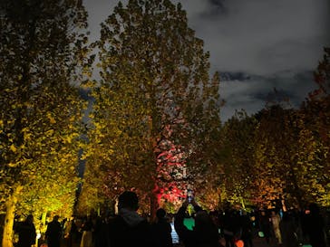 NAKED 紅葉の新宿御苑2023に投稿された画像（2023/12/1）