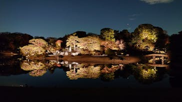 六義園に投稿された画像（2023/12/1）