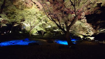 六義園に投稿された画像（2023/12/1）