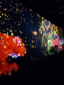 チームラボに投稿された画像（2023/11/29）