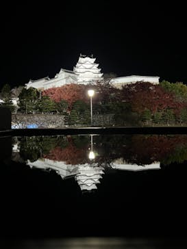 姫路城（イベント）に投稿された画像（2023/12/1）