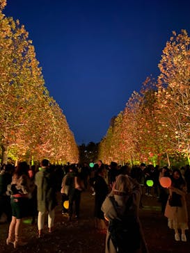 NAKED 紅葉の新宿御苑2023に投稿された画像（2023/12/1）