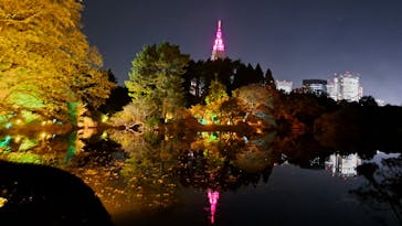 NAKED 紅葉の新宿御苑2023に投稿された画像（2023/12/1）