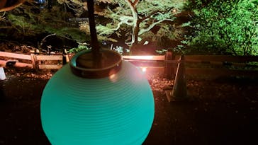 NAKED 紅葉の新宿御苑2023に投稿された画像（2023/12/1）