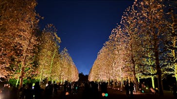 NAKED 紅葉の新宿御苑2023に投稿された画像（2023/12/1）