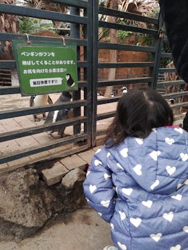ゼロ距離水族館 伊勢シーパラダイスに投稿された画像（2023/12/1）