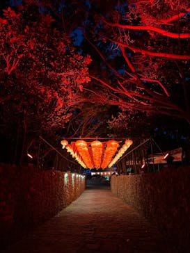 体験王国 むら咲むらに投稿された画像（2023/12/1）