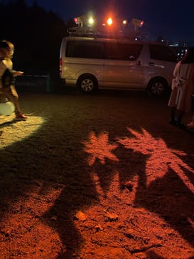 NAKED 紅葉の新宿御苑2023に投稿された画像（2023/12/1）