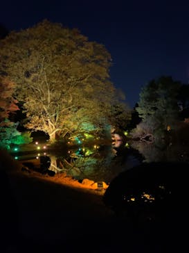 NAKED 紅葉の新宿御苑2023に投稿された画像（2023/12/1）