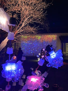 NAKED meets 二条城 2025 観月に投稿された画像（2023/12/1）