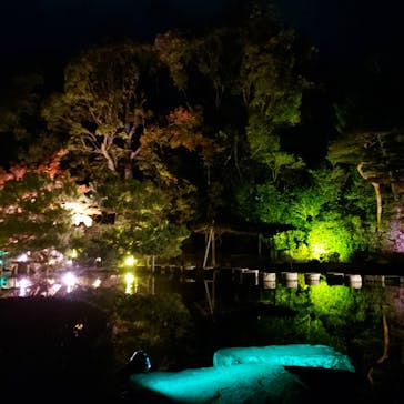 NAKEDヨルマイリ 2025-26 平安神宮に投稿された画像（2023/12/1）