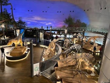 福井県立恐竜博物館に投稿された画像（2023/12/1）