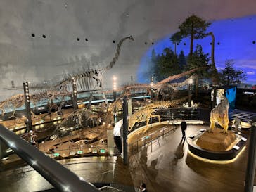 福井県立恐竜博物館に投稿された画像（2023/12/1）