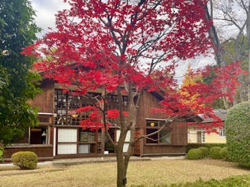 江戸東京たてもの園に投稿された画像（2023/12/1）