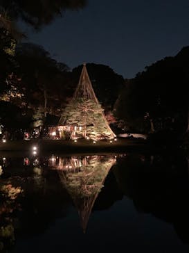 六義園に投稿された画像（2023/12/1）