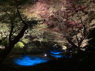 六義園に投稿された画像（2023/12/1）