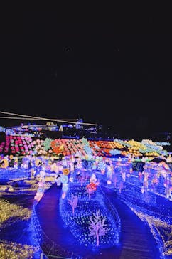 伊豆ぐらんぱる公園に投稿された画像（2023/12/1）