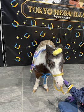 東京メガイルミに投稿された画像（2023/12/1）