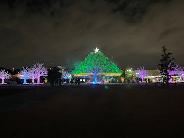 東京メガイルミに投稿された画像（2023/12/1）