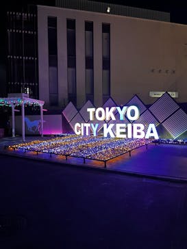 東京メガイルミに投稿された画像（2023/12/1）