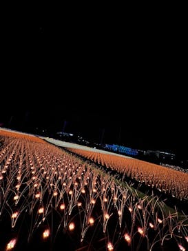 東京メガイルミに投稿された画像（2023/12/1）