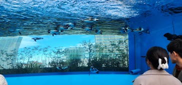サンシャイン水族館に投稿された画像（2023/12/1）