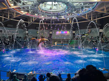 マクセル アクアパーク品川に投稿された画像（2023/12/1）