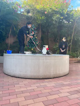 マクセル アクアパーク品川に投稿された画像（2023/12/1）