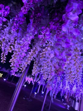 東京メガイルミに投稿された画像（2023/12/1）