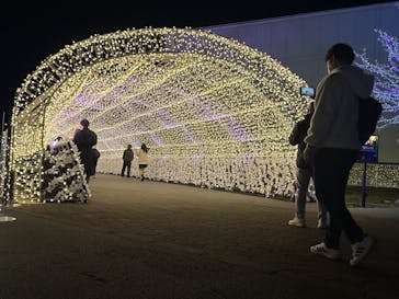 東京メガイルミに投稿された画像（2023/12/1）