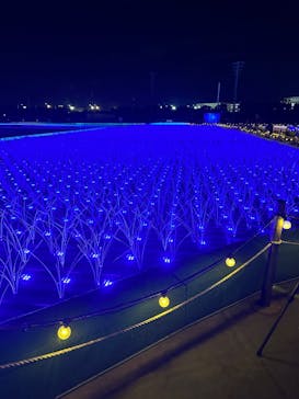 東京メガイルミに投稿された画像（2023/12/1）