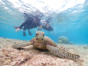 宮古島マリン GB QUESTに投稿された画像（2023/12/1）