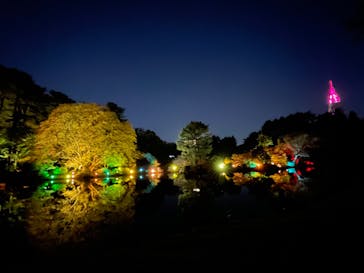 NAKED 紅葉の新宿御苑2023に投稿された画像（2023/12/1）