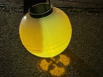 NAKED 紅葉の新宿御苑2023に投稿された画像（2023/12/1）